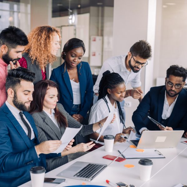 Real Workplace Diversity - Sheer Velocity